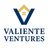 VALENTINE VENTURES LLC